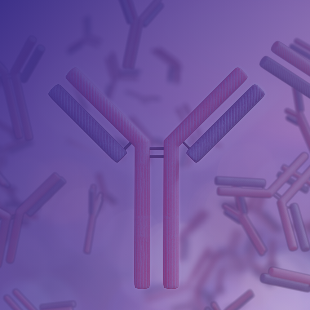 Untitled design (22)